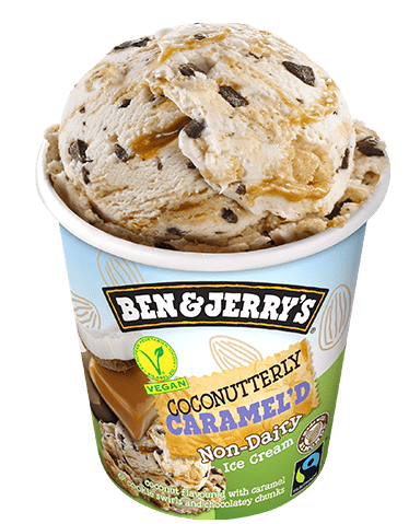 Coconutterly Caramel'd Vegan 500ml